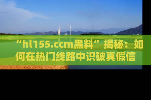 “hl155.ccm黑料”揭秘:如何在热门线路中识破真假信息