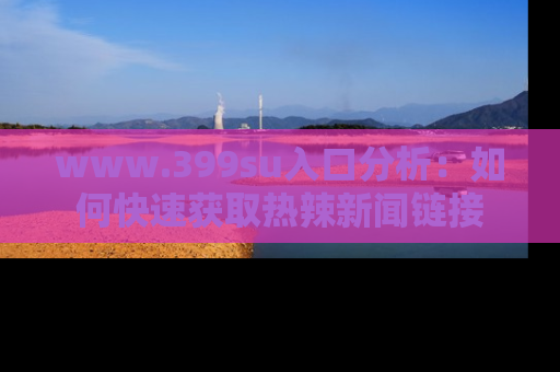 www.399su入口分析:如何快速获取热辣新闻链接