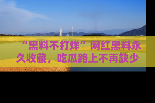 “黑料不打烊”网红黑料永久收藏，吃瓜路上不再缺少惊喜与乐趣