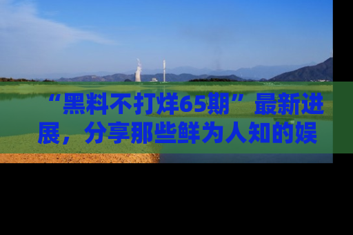 “黑料不打烊65期”最新进展，分享那些鲜为人知的娱乐八卦