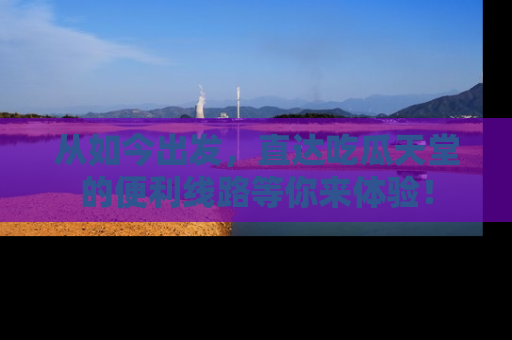 从如今出发，直达吃瓜天堂的便利线路等你来体验！