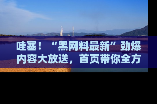 哇塞！“黑网料最新”劲爆内容大放送，首页带你全方位了解哦，小可爱们