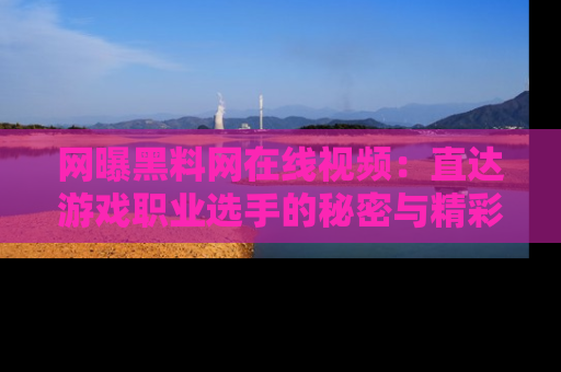 网曝黑料网在线视频：直达游戏职业选手的秘密与精彩动漫片段！