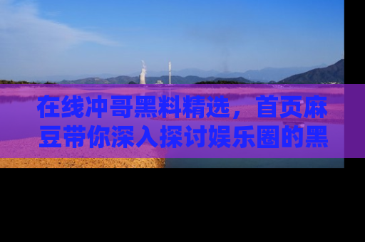在线冲哥黑料精选,首页麻豆带你深入探讨娱乐圈的黑暗面